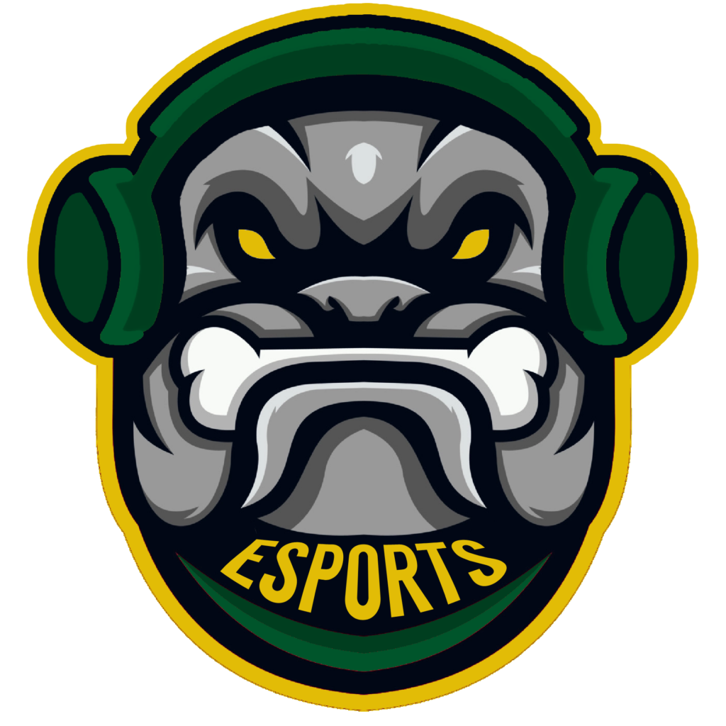 Baton Rouge High Esports